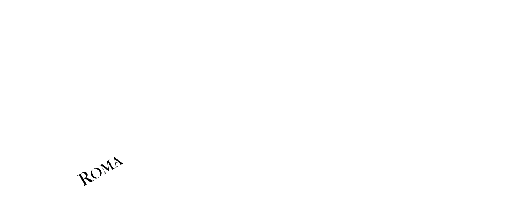 logo-bianco-grande