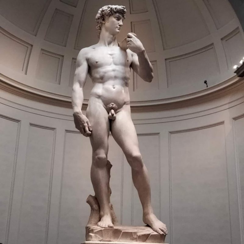 AMAZING PRIVATE ACCADEMIA GALLERY (DAVID) & SANTA CROCE CHURCH – Guided visits 4 hrs (Not bookable on mondays)