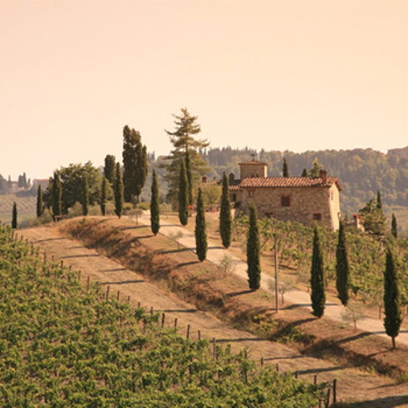 CHIANTI WINE AREA, SAN GIMIGNANO WITH STOP IN PISA – Private Shore Excursion from Piombino