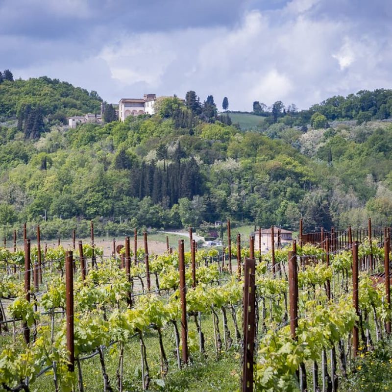 AMAZING SMALL GROUP – SAN GIMIGNANO & CHIANTI CLASSICO WINE TOUR – Tour length 5 hrs – DEPARTURE: 2.30 pm