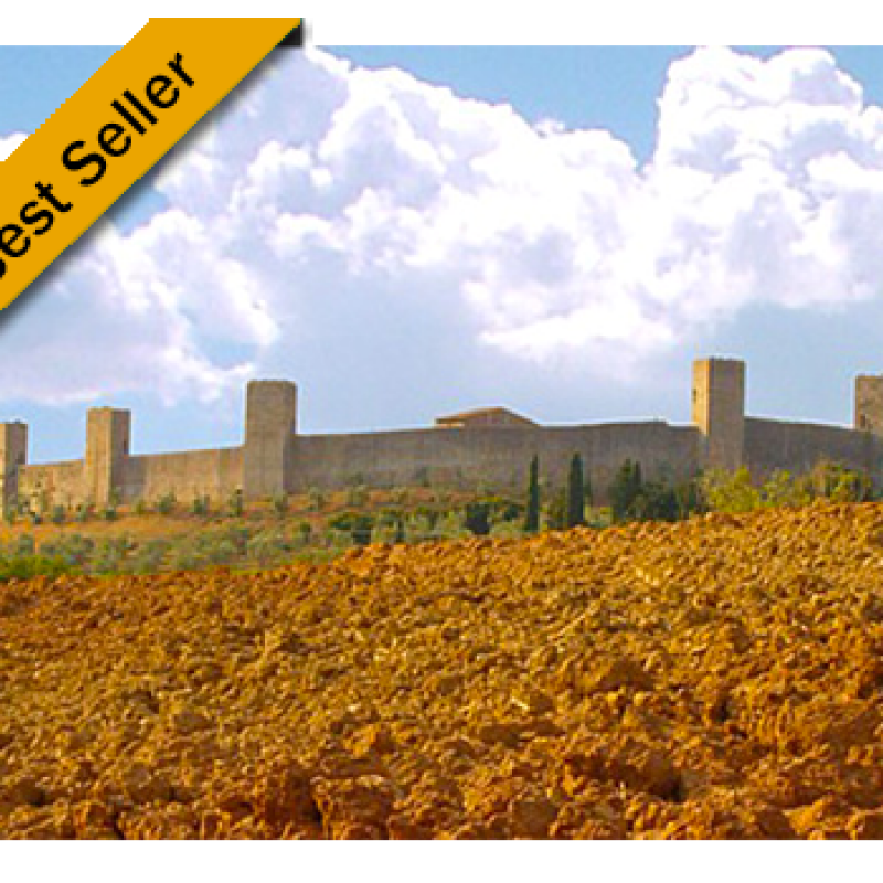 WONDERFUL WINE TOUR IN CHIANTI WITH STOP IN PISA – Private Shore Excursion from Piombino